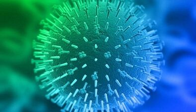 route of human papillomavirus infection